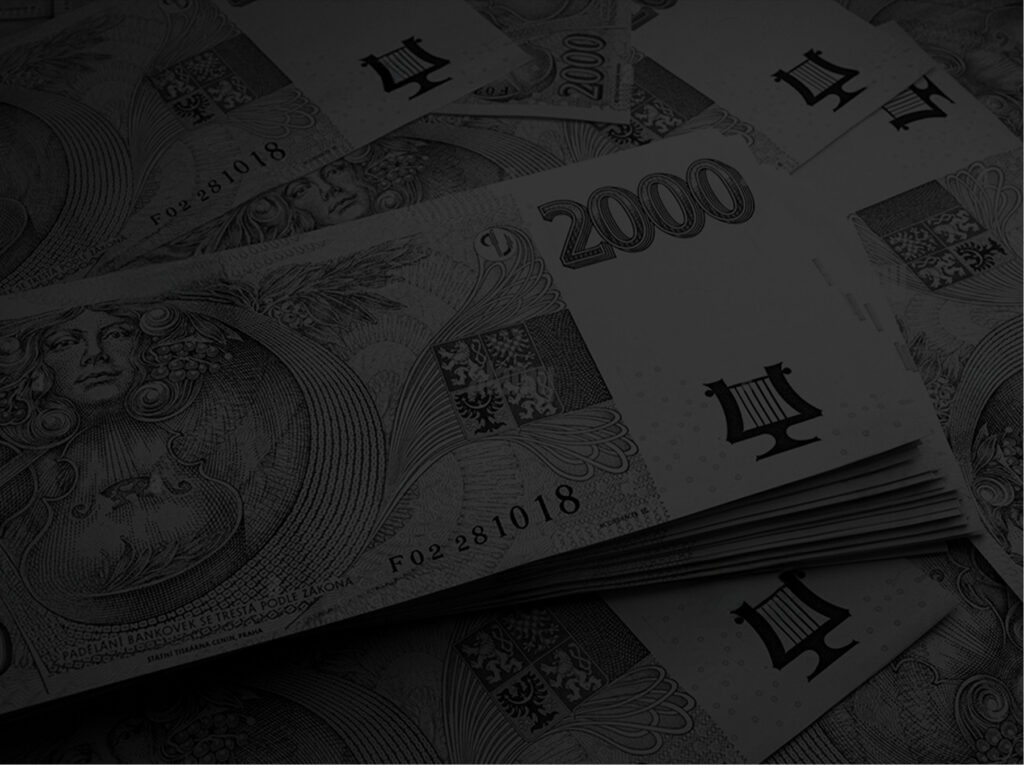 Быстрые займы в Чехии без справки о доходах